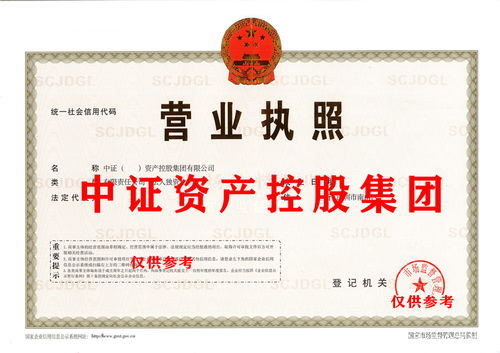 商務(wù)信息咨詢 企業(yè)決策的導(dǎo)航與智慧引擎